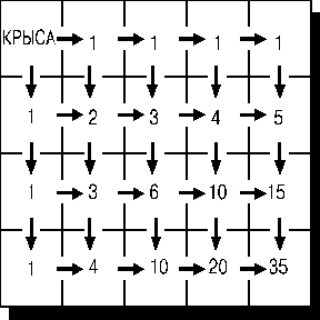 ��� ���������� � ��� ���������