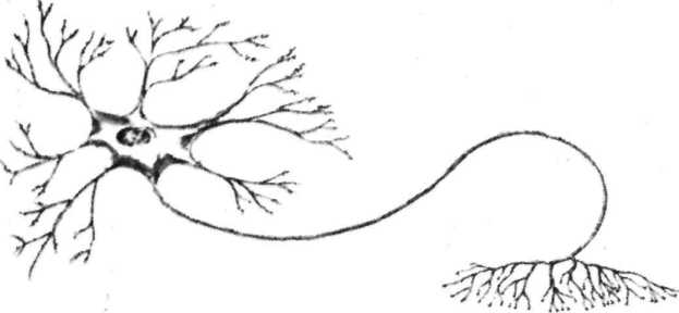 ������� ��������� �����