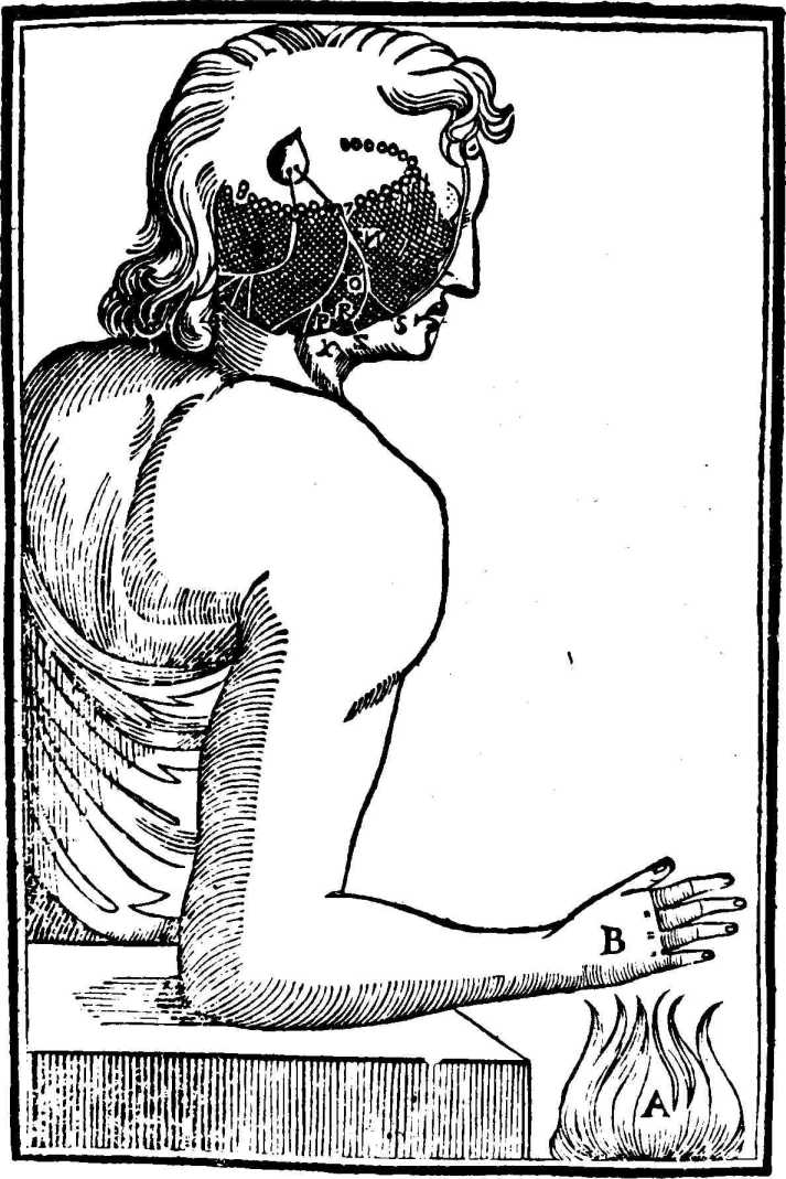 ����������� ��������