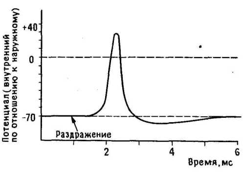 �������������� ���������