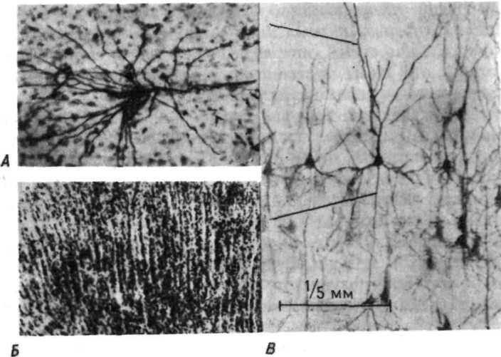 ������� ��������� �����