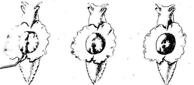 ���������� � ������� 