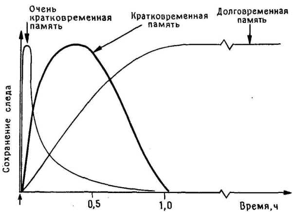 ����� ����� ���, ������