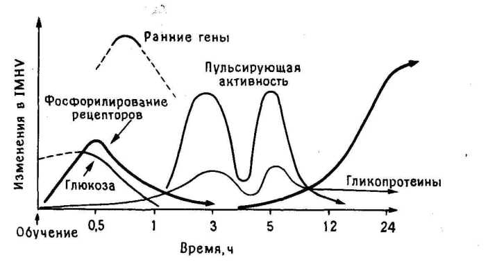������ ��������: ��� ��������� �� �������