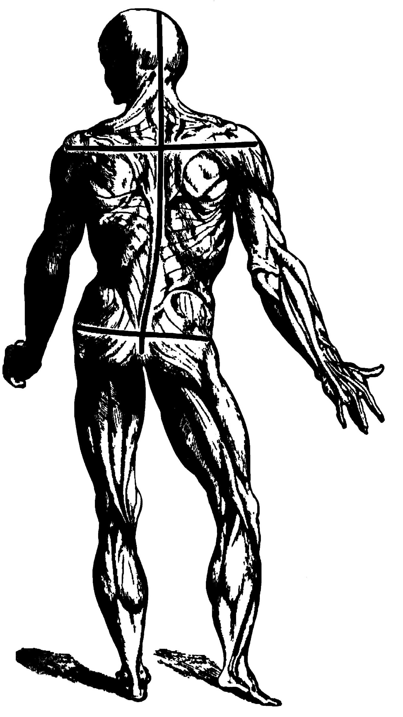 ����� ���� ������ ��������� � ����������.