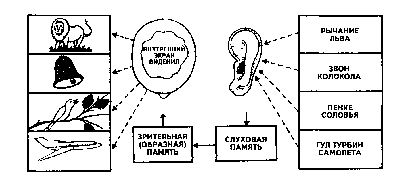 ����� �����������