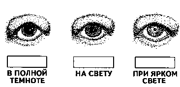 ��� ������ ��������