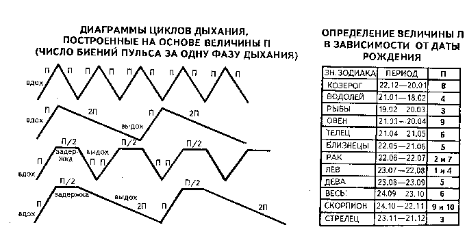 ����� �����������