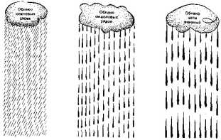 ��� �� ����� ���������?