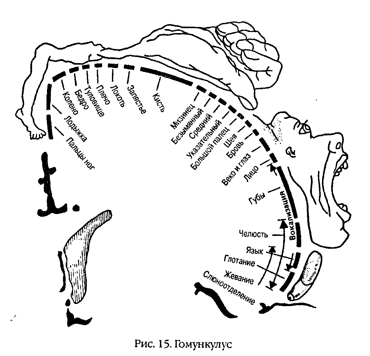 ������� ���� �������� ������������