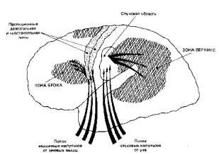 �������� ���� ��� ������