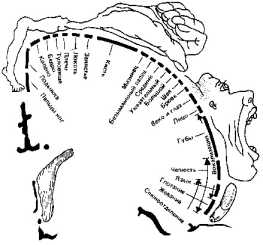 ������ � ������������� ������������� �����