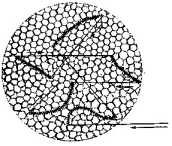 �������� ��� ������