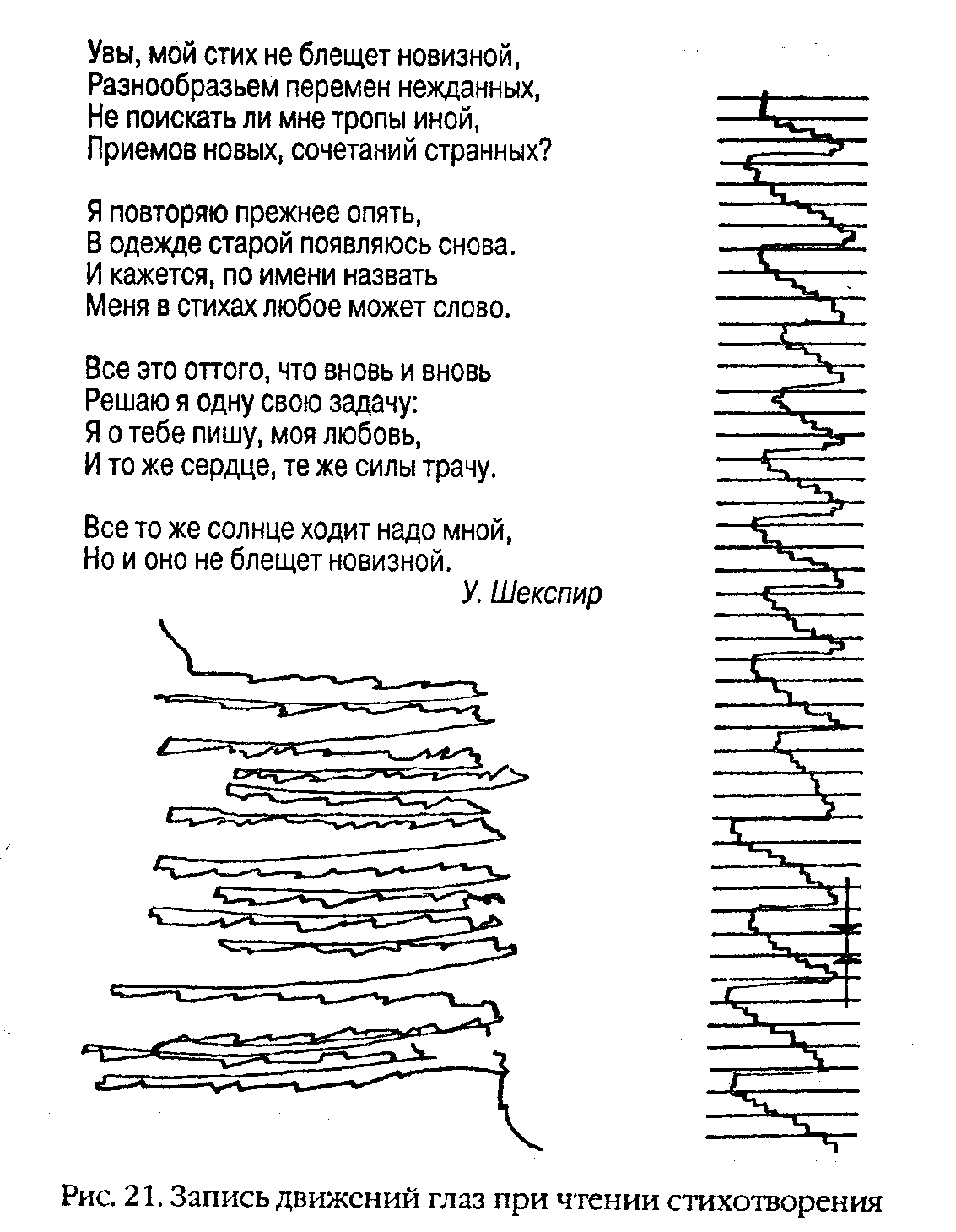 ������ ������������ ��������� ����