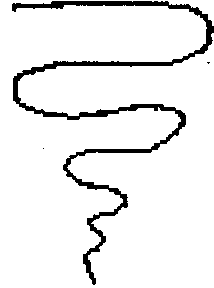 ����������. 