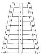 ������ �������� ���� ��� ������ �������������