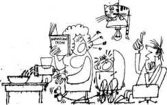 ��� ���� ��������