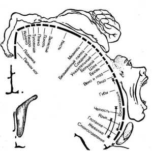 ����������� ���������� ��� ���������� �������