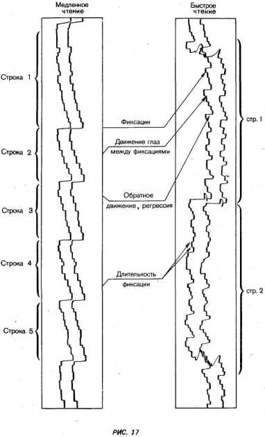 ��������� �������� ����