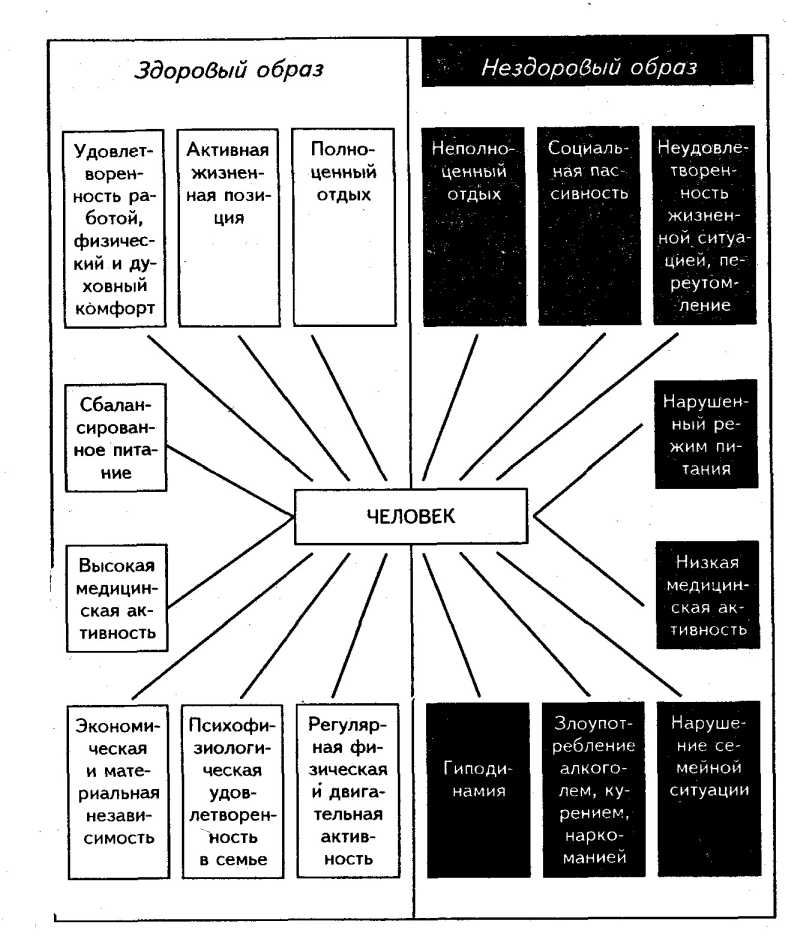 �������� ����� ����� - ������ ����������