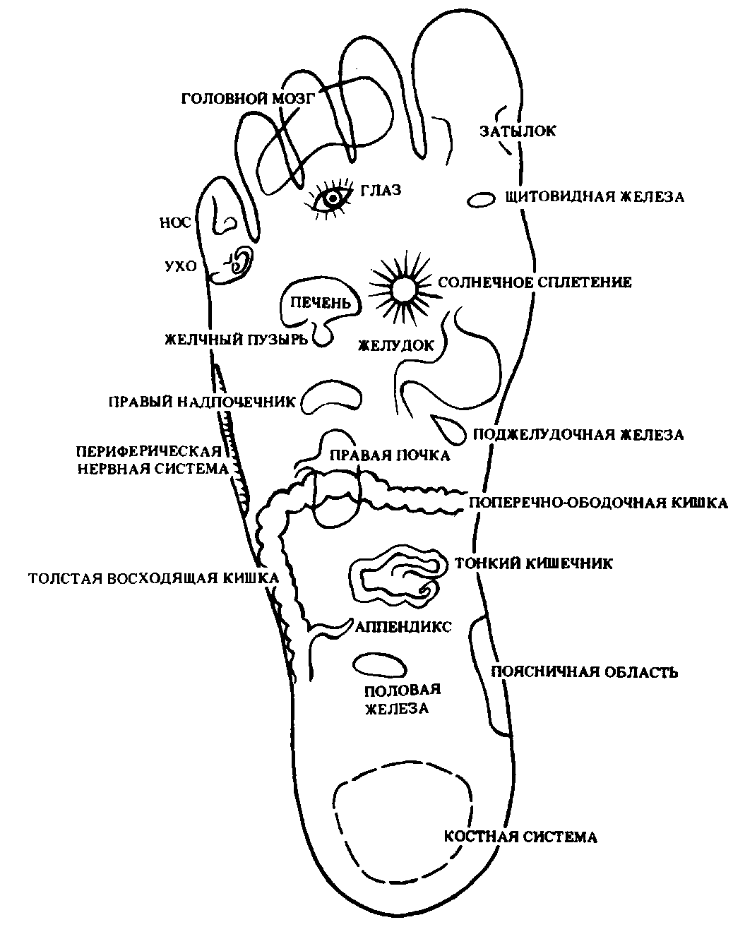 �������� ������������� �������� �� ����� ��������