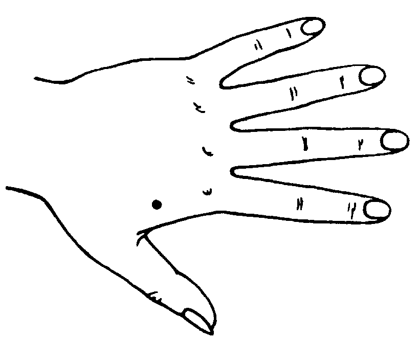 ����������� �������� ����������