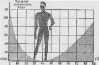 ������� ����� ��� ������� ��������