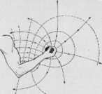 VIII ���������� ��������� ���