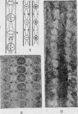 ���� �����������