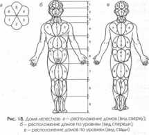 ���� ��������� �������� �����