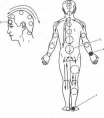 ������� �������� ��������