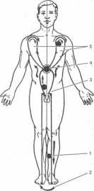 ����� ������� �����