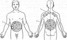 ����� ������� �����