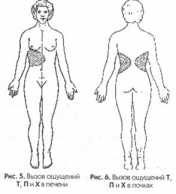 ������ � ��������