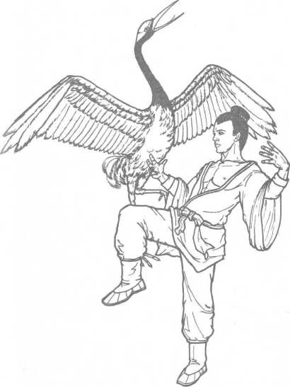 �-��. ���� � �������� � ��������