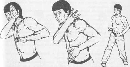 ������������ �������