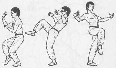 ����� �����������