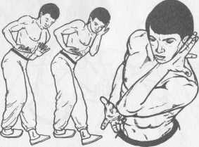 ����� �����������