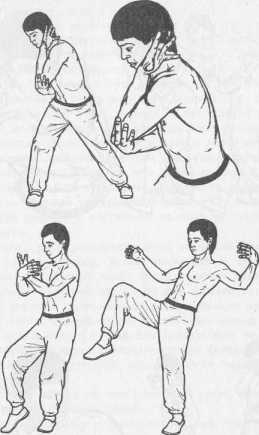 ����� �����������