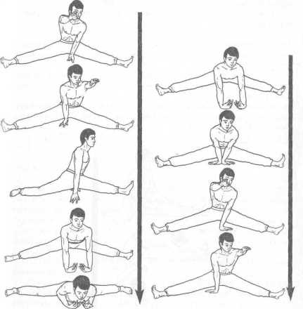 ����� �������