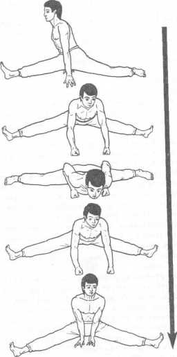 ����� �������