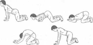 ����� �������