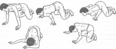 ����� �������