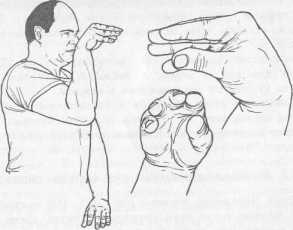 ����� �������