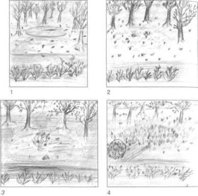 ��������������� �������������