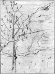 ����������� �������� �����������