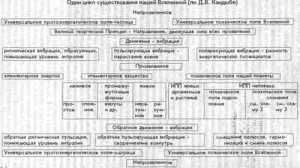 ����� �������