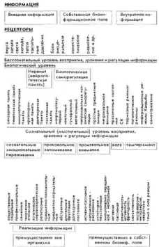 ���������� ����