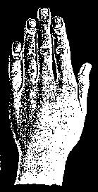 Большой палец