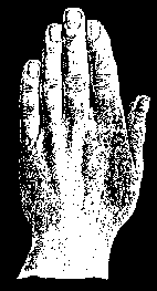 Большой палец